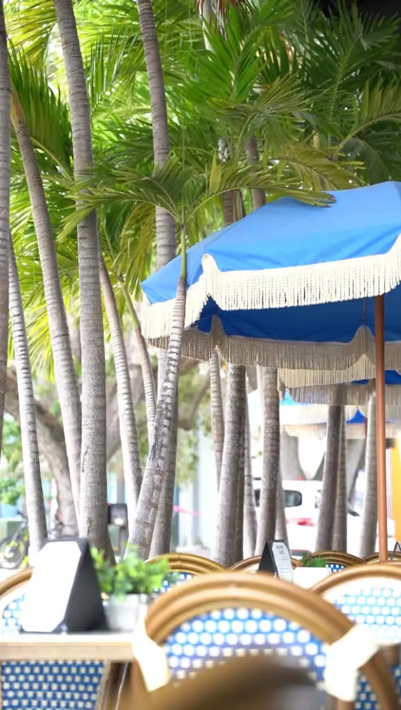 Outdoor dining under palm trees at Grand Cafe